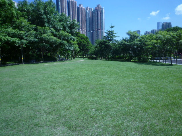 Photo 1: Nam Cheong Park