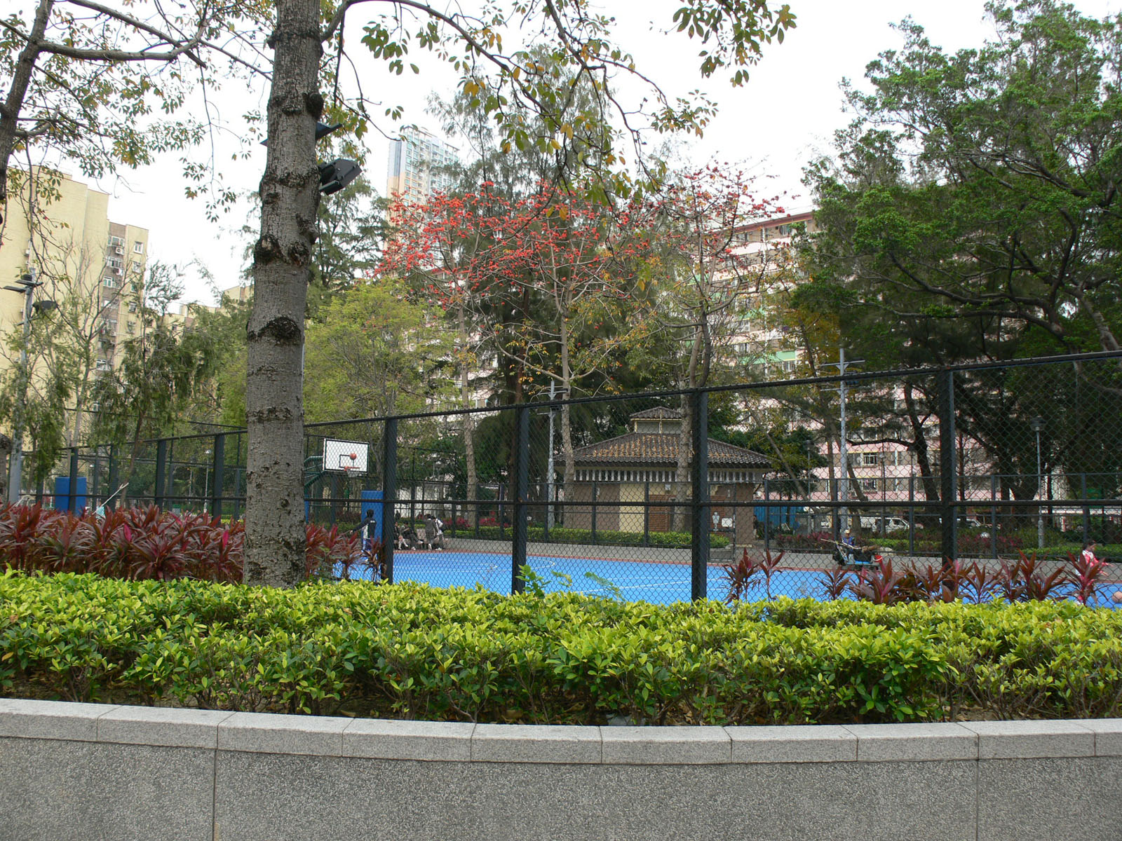 Photo 8: Sham Shui Po Park