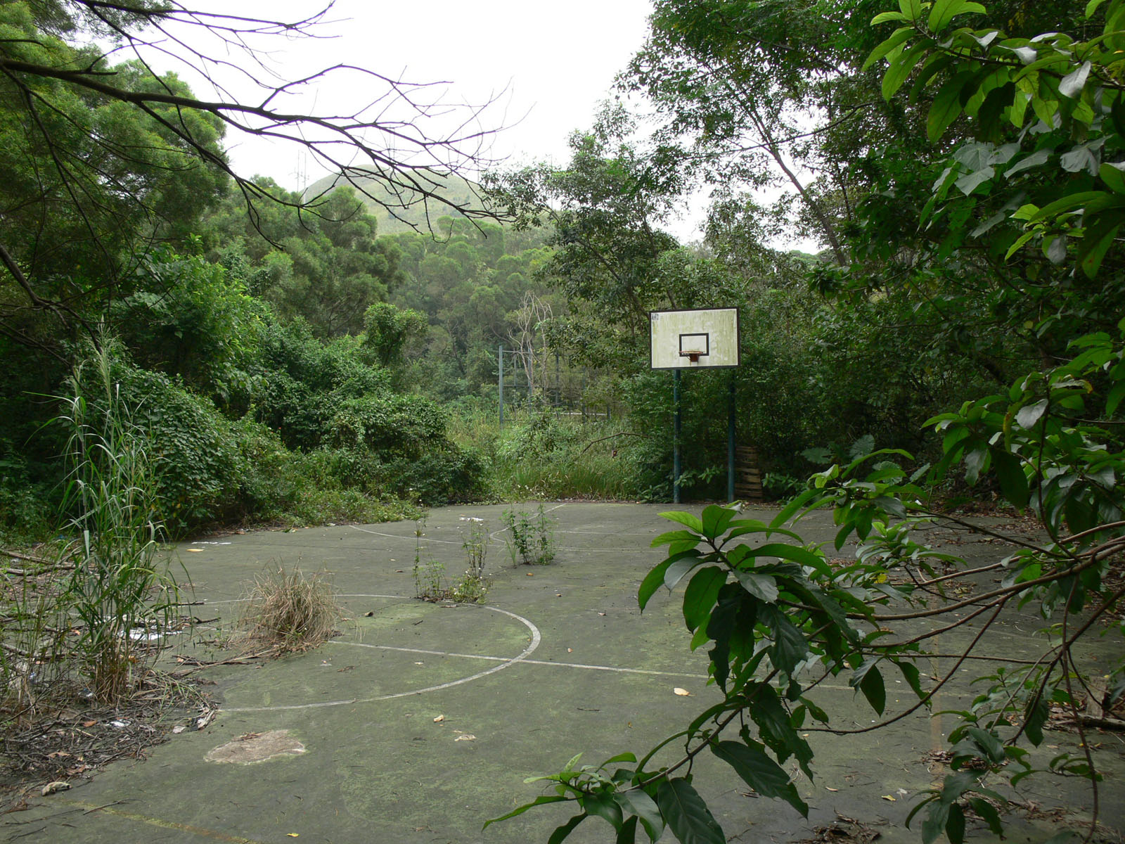 Photo 2: Former Wa Shan Public School