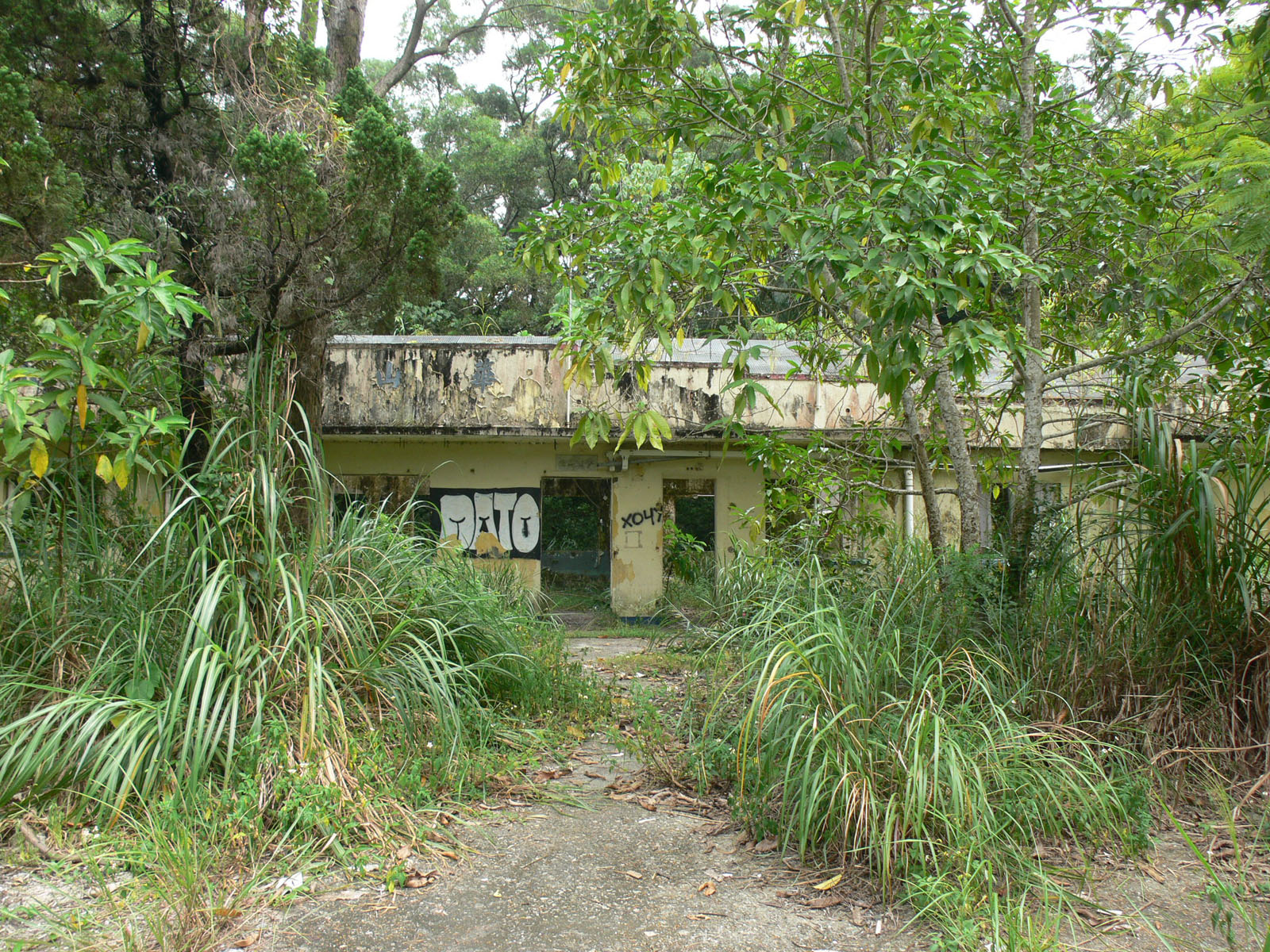 Photo 3: Former Wa Shan Public School