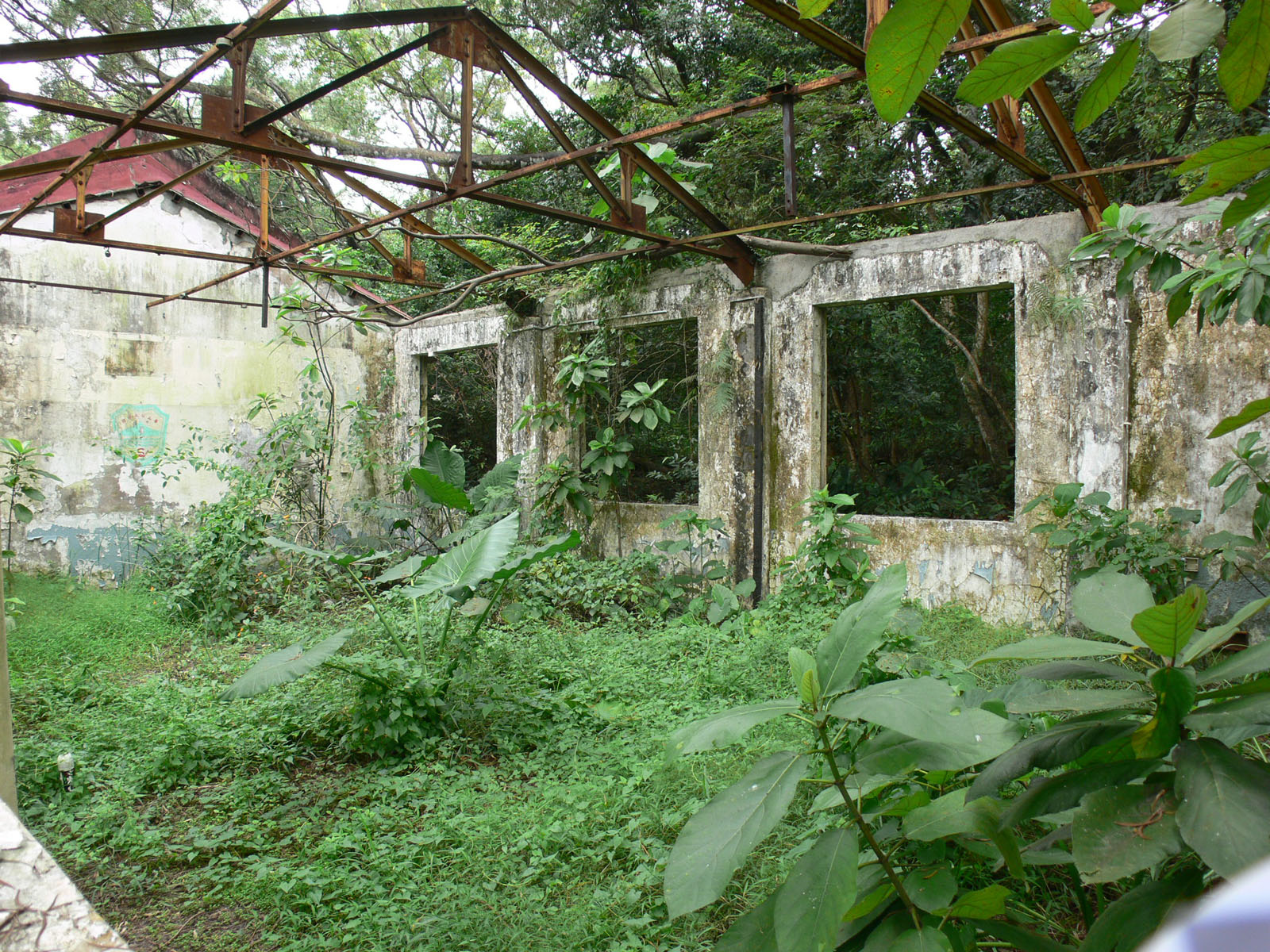 Photo 6: Former Wa Shan Public School