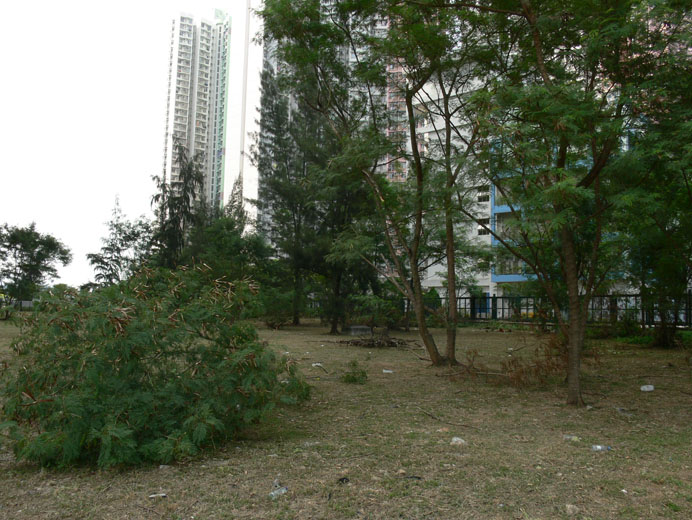 Photo 4: Government Land at Sai Sha Road