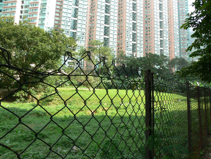 Government Land at Sha On Street