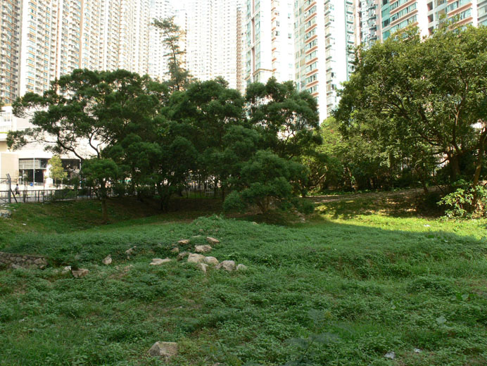 Photo 3: Government Land at Sha On Street