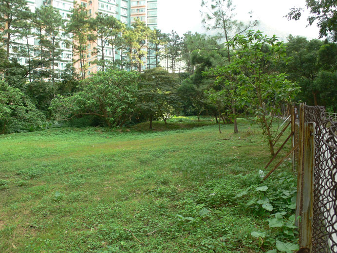 Photo 4: Government Land at Sha On Street