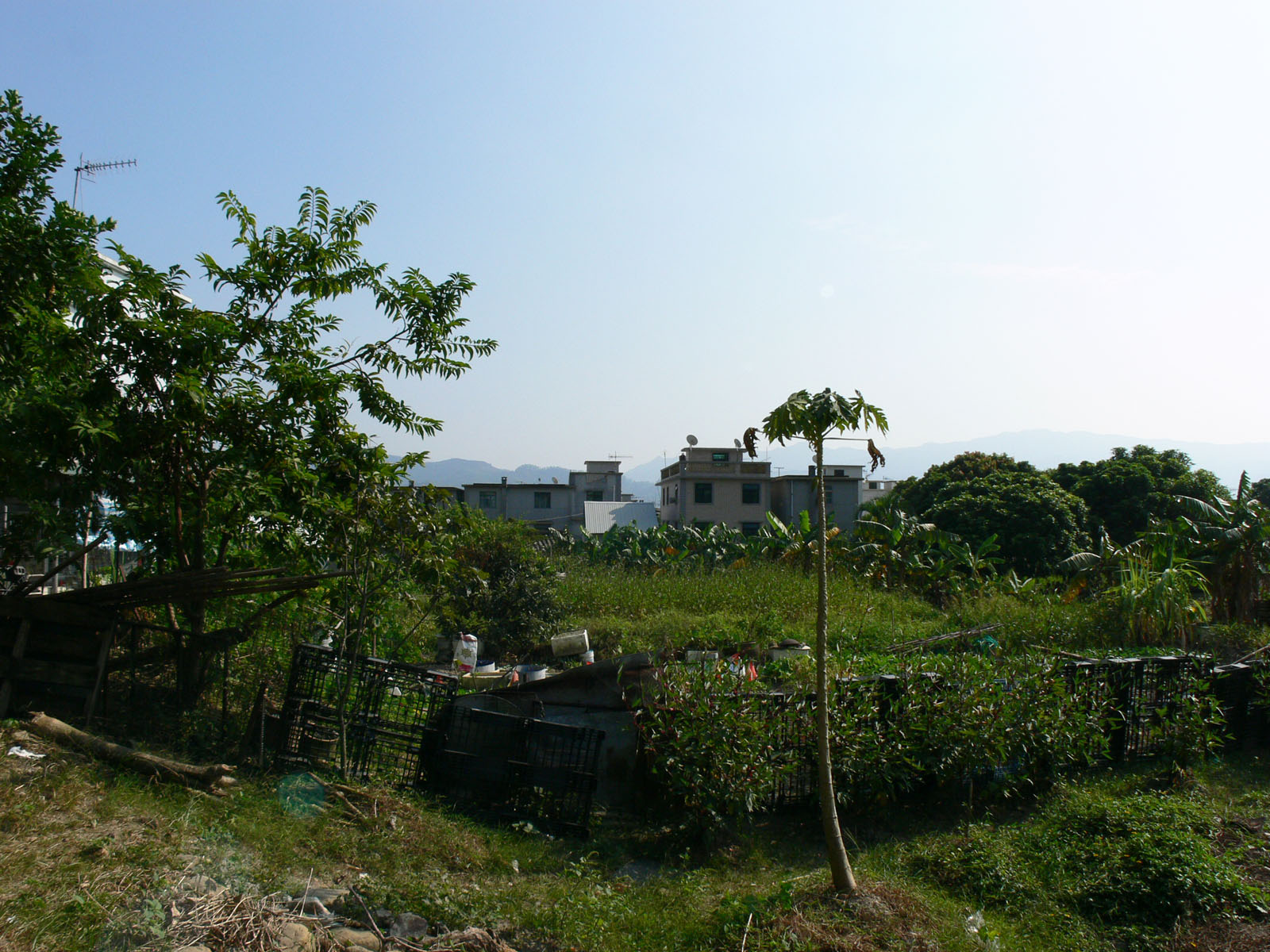 Photo 6: Tam Shui Hang Tsuen