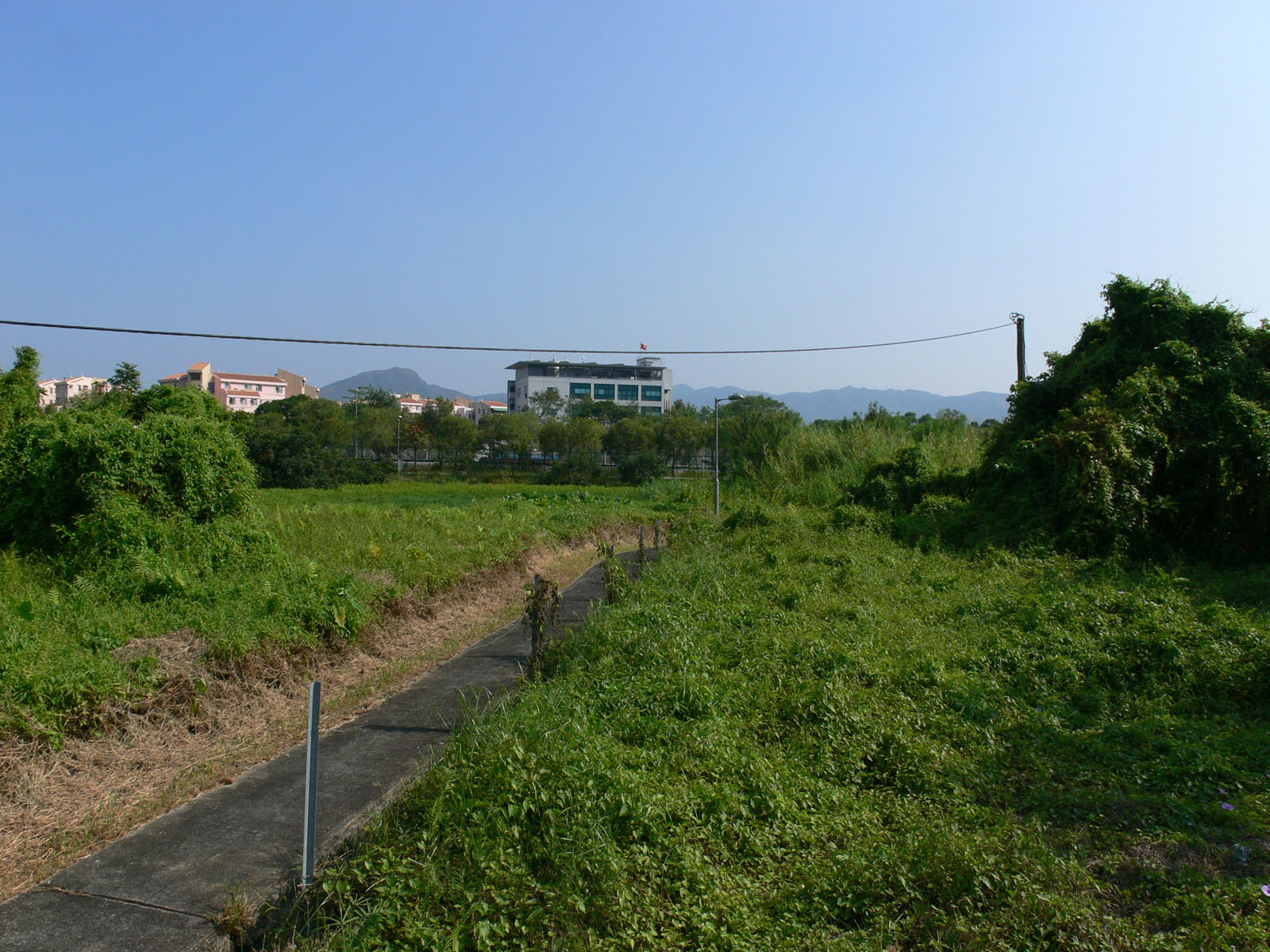 Photo 8: Tam Shui Hang Tsuen