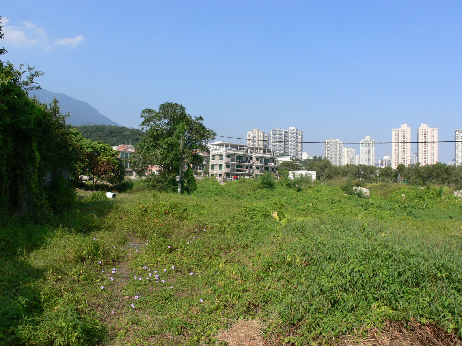 Photo 9: Tam Shui Hang Tsuen