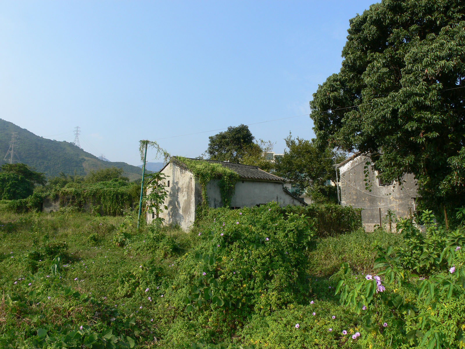 Photo 6: San Tsuen