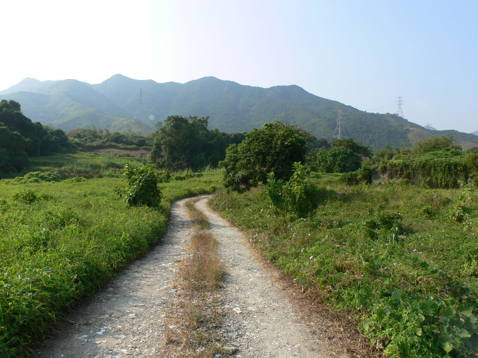 Photo 7: San Tsuen