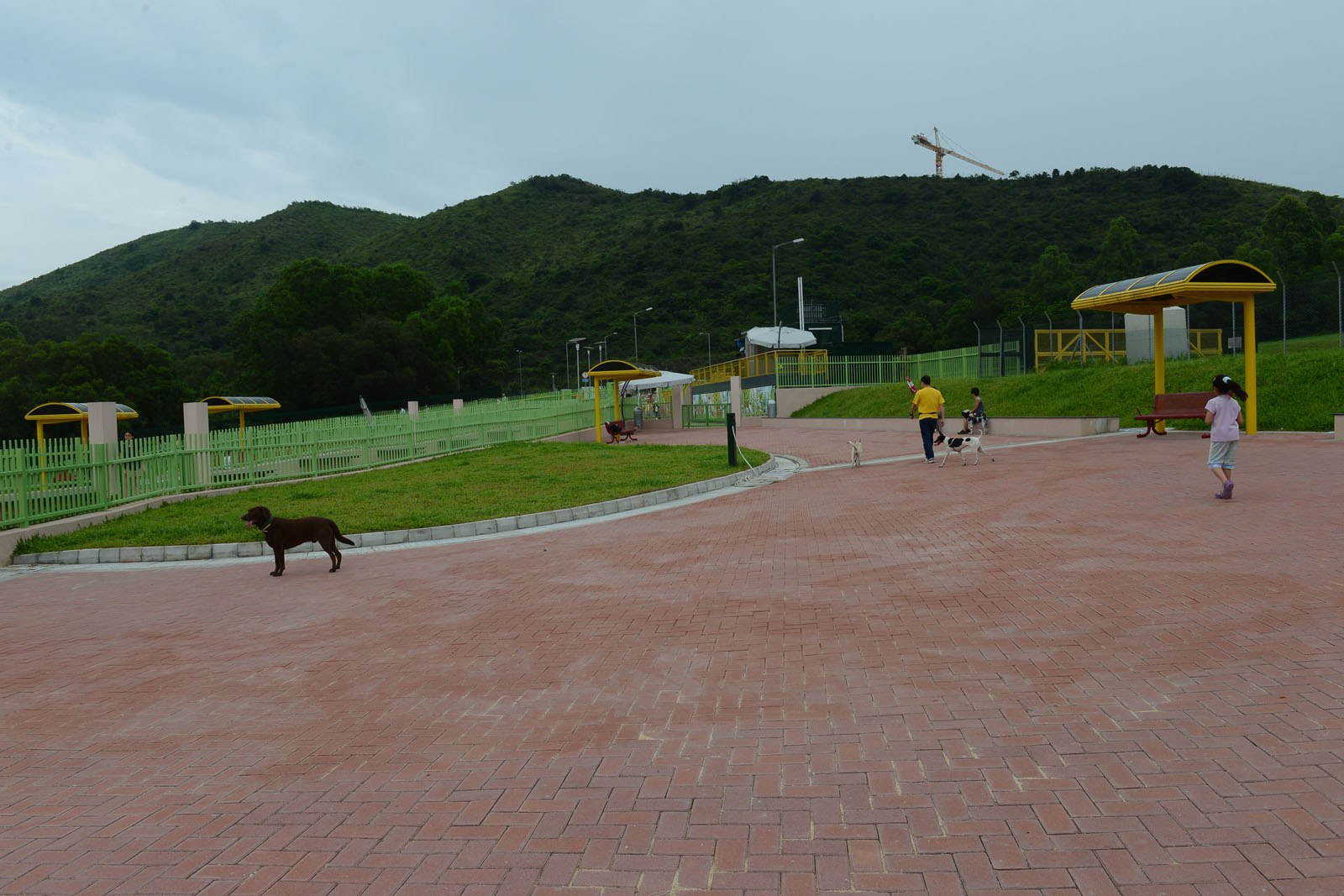 Photo 5: Wan Po Road Pet Garden