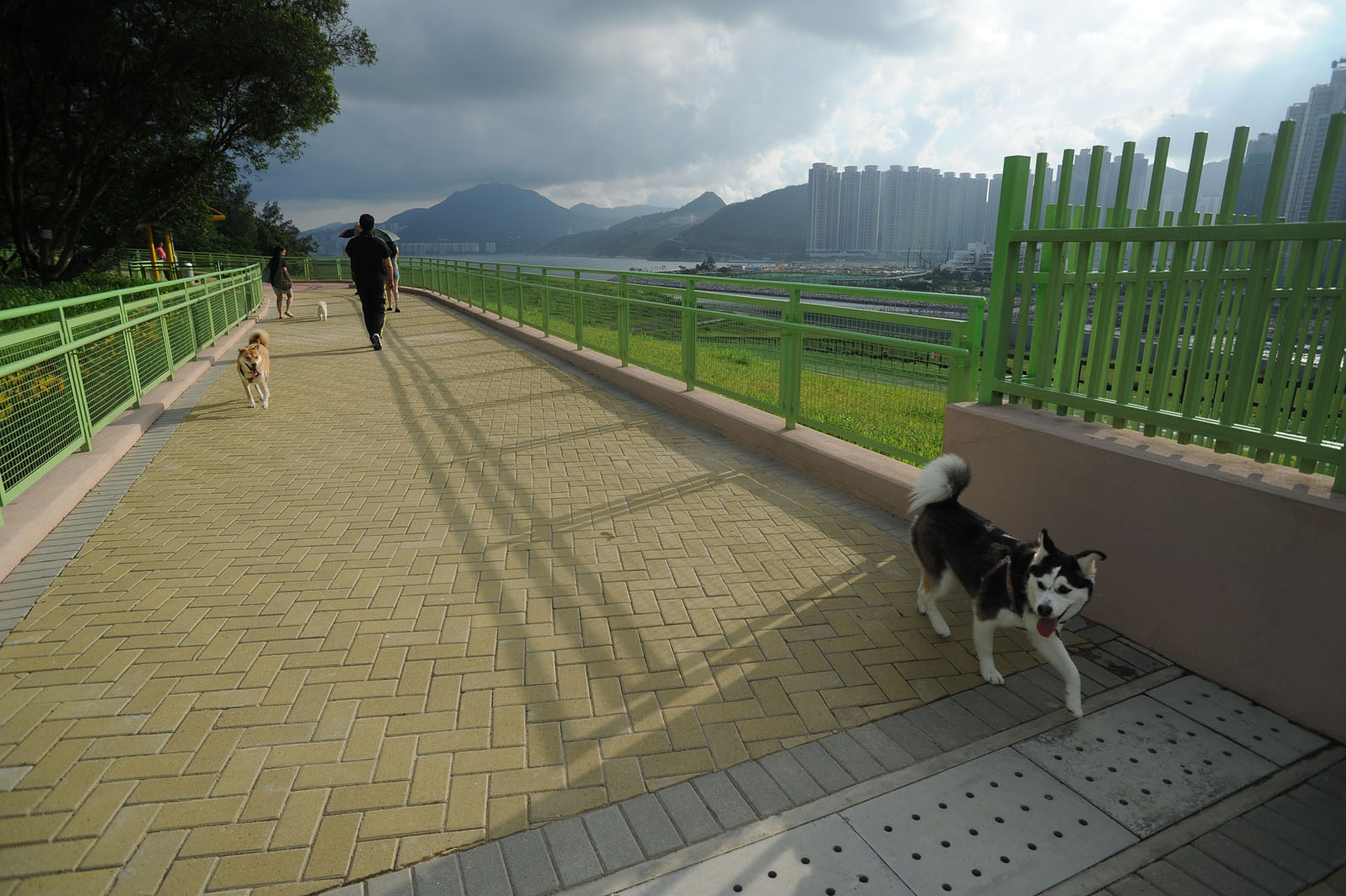 Photo 7: Wan Po Road Pet Garden