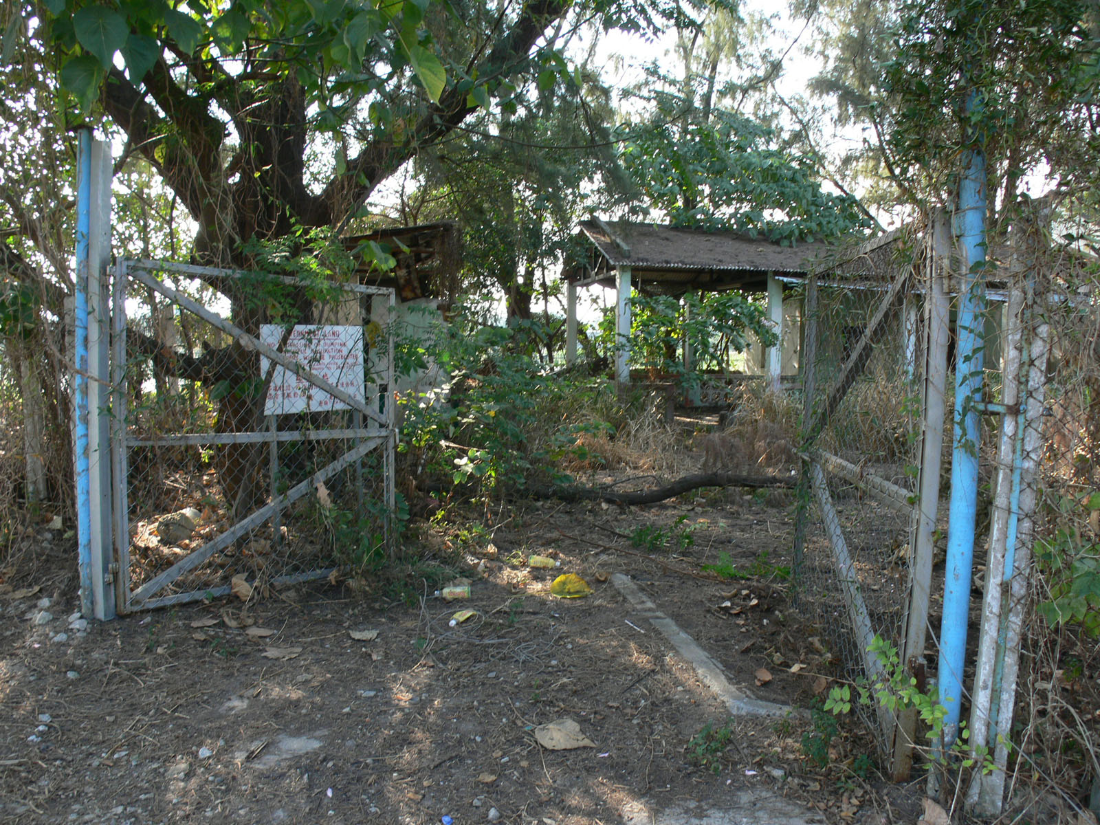 Photo 1: Former Tai Sang Wai Public School