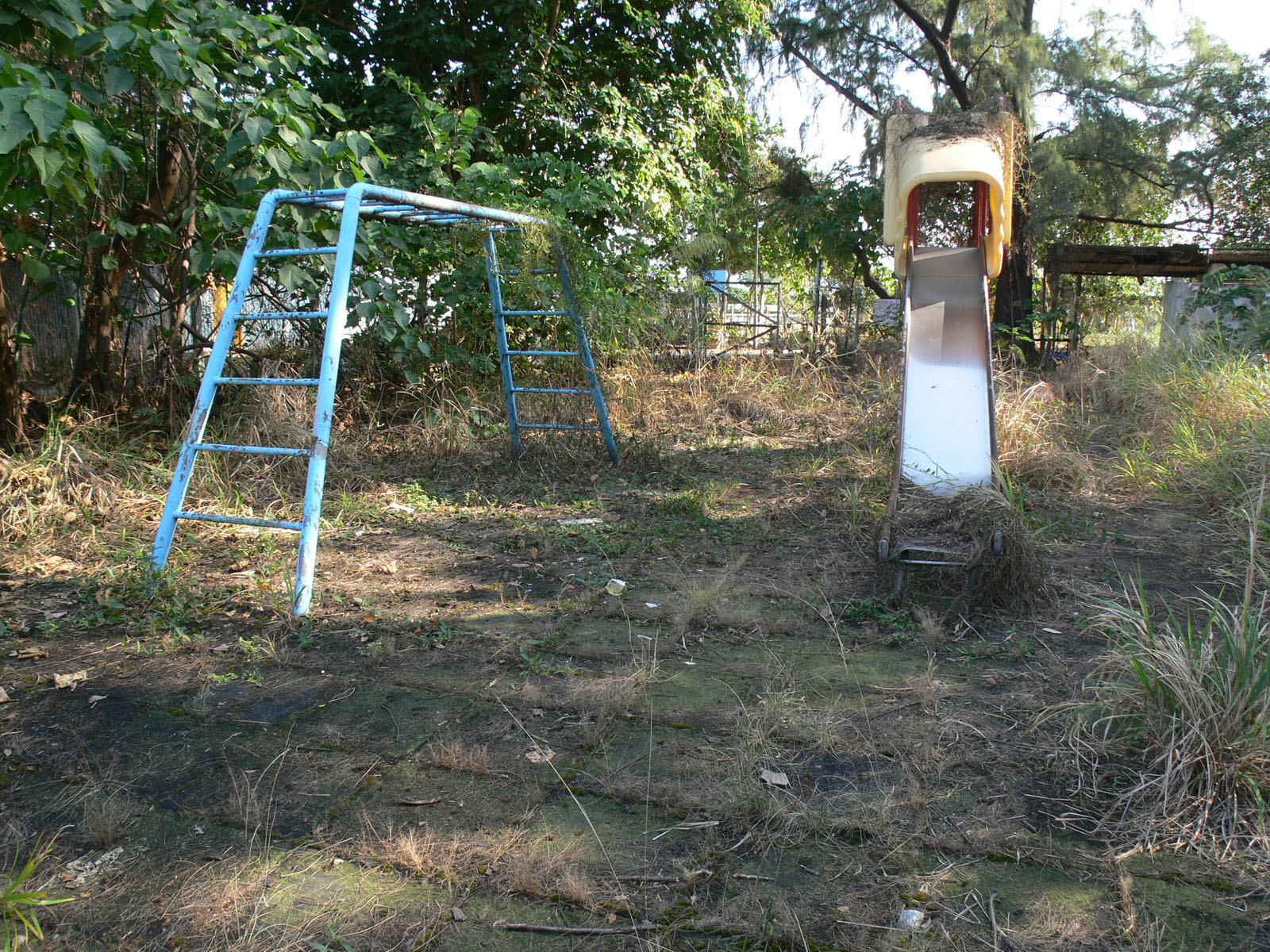 Photo 2: Former Tai Sang Wai Public School