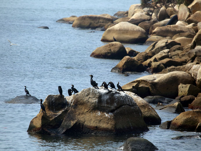 Photo 2: Sha Chau and Lung Kwu Chau Marine Park