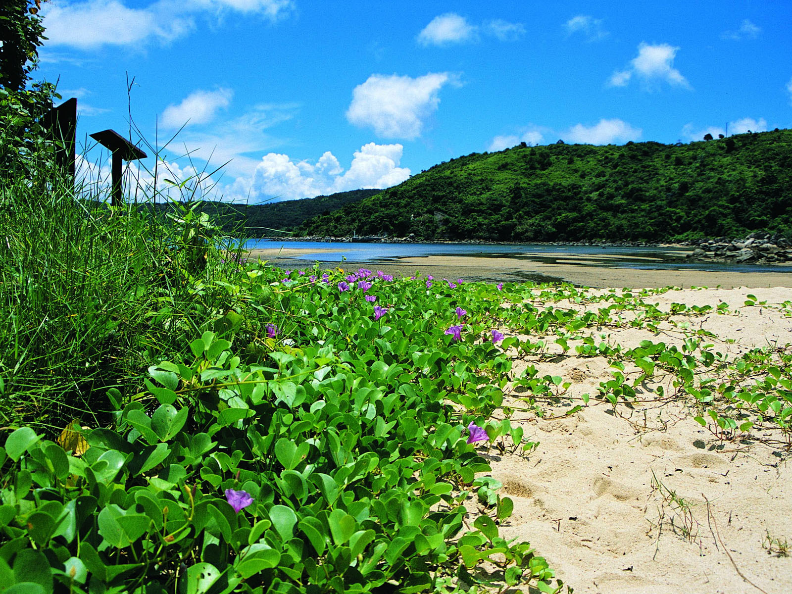 Photo 3: Hoi Ha Wan Marine Park