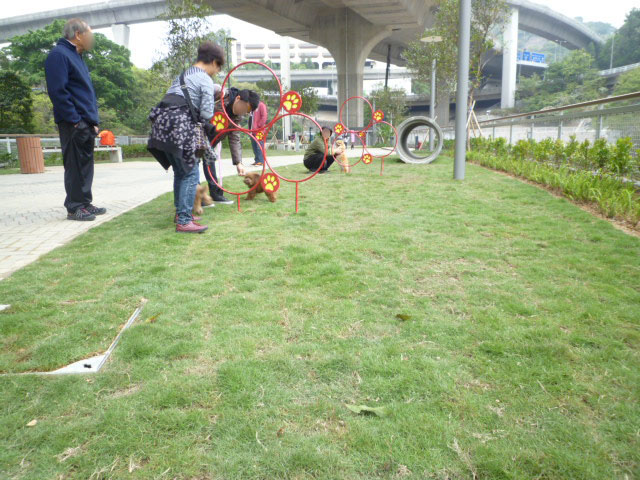 Photo 2: Butterfly Valley Road Pet Garden