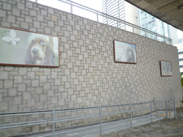 Photo 6: Butterfly Valley Road Pet Garden