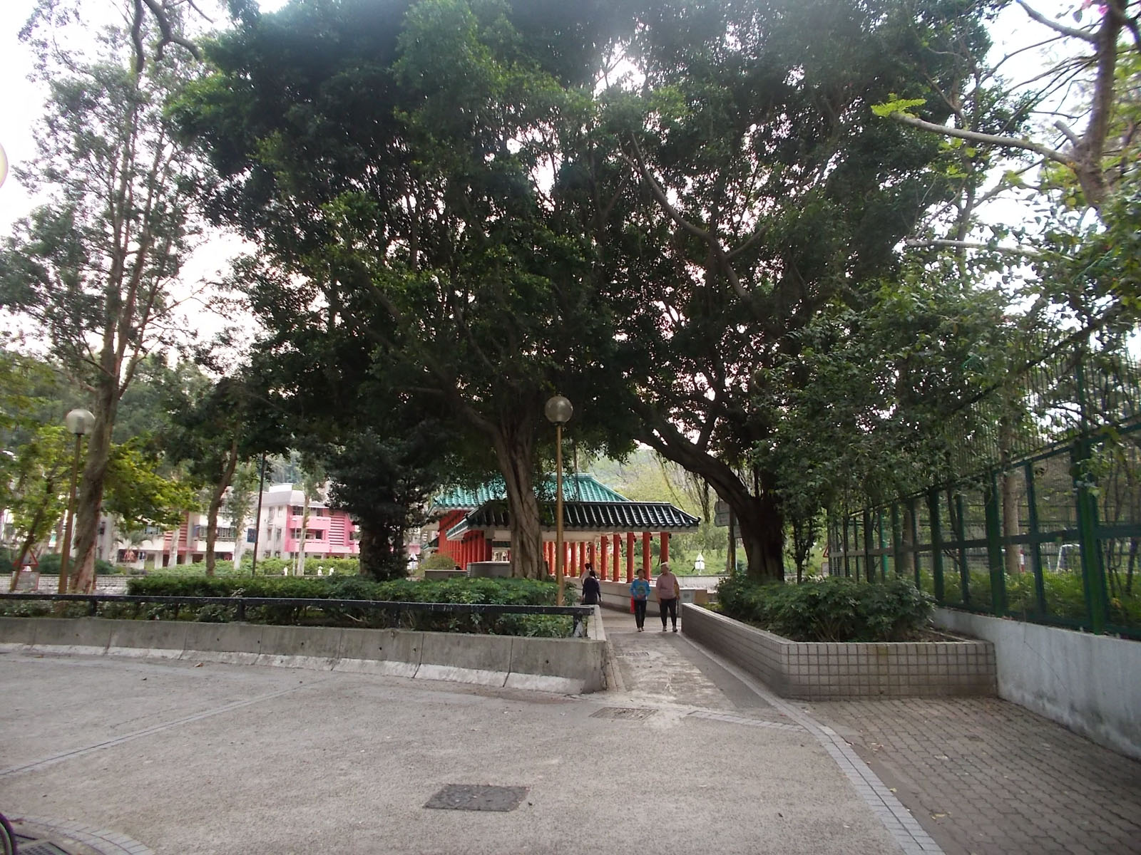 Photo 8: Tai Wo Estate