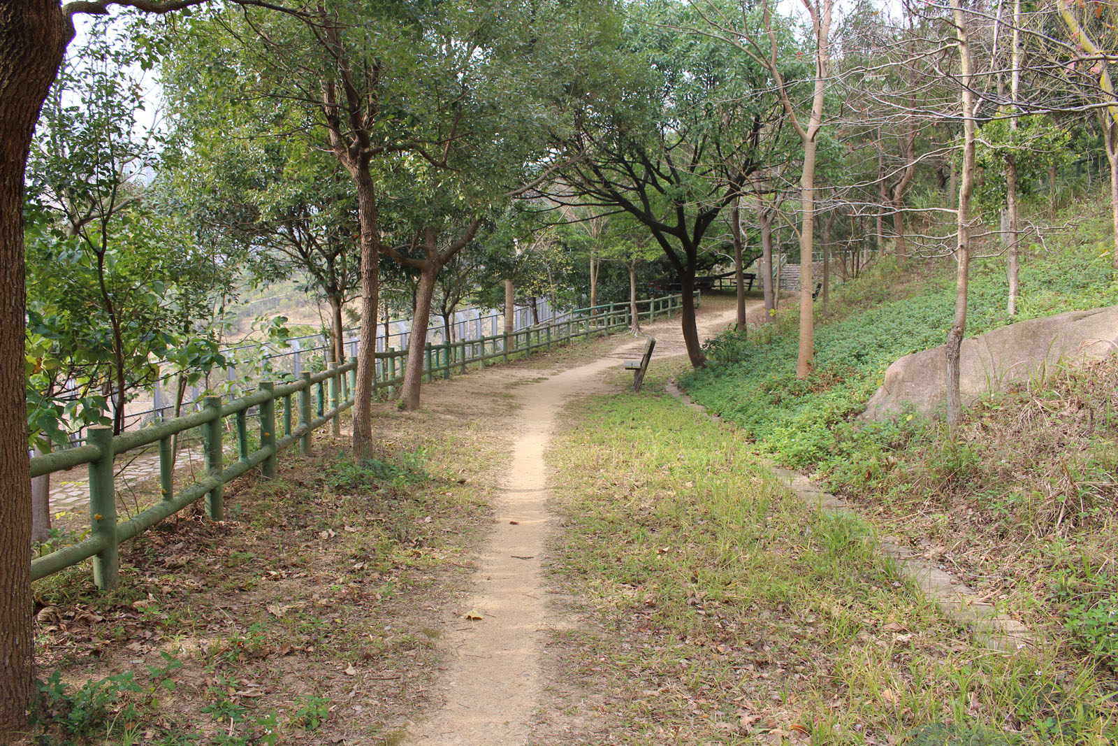 Photo 4: Jat's Incline Morning Walkers Garden