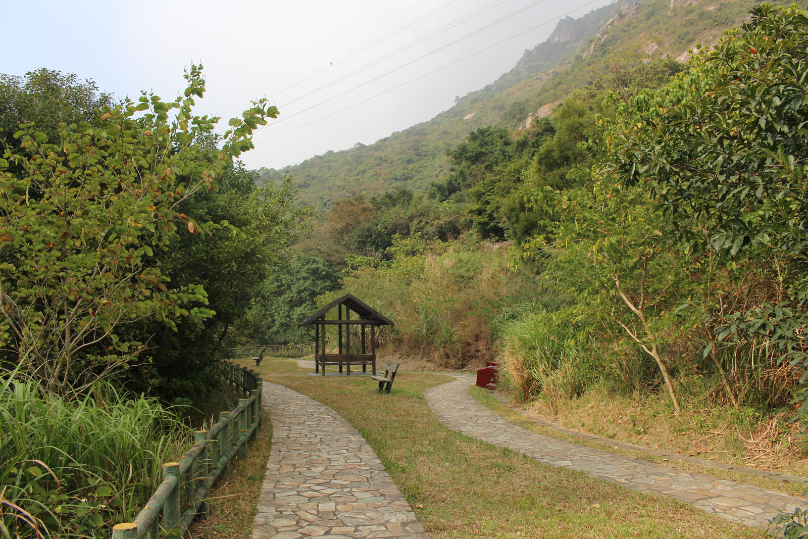 Photo 7: Jat's Incline Morning Walkers Garden