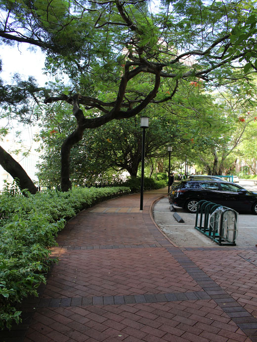 Photo 4: The University of Hong Kong - Pokfulam Main Campus