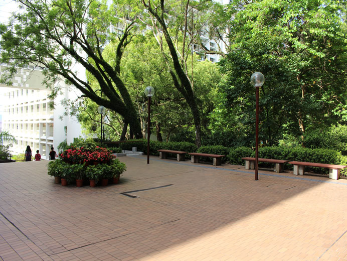 Photo 18: The University of Hong Kong - Pokfulam Main Campus