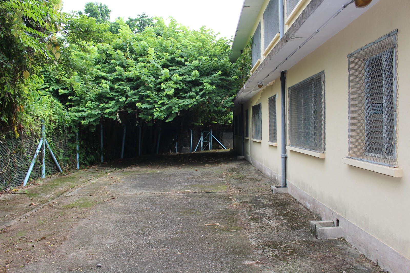 Photo 7: Former Tsuen Wan Raw Water Pumping Station Staff Quarters