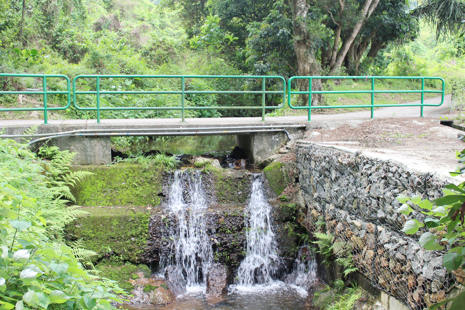 Photo 2: Wu Kau Tang Village