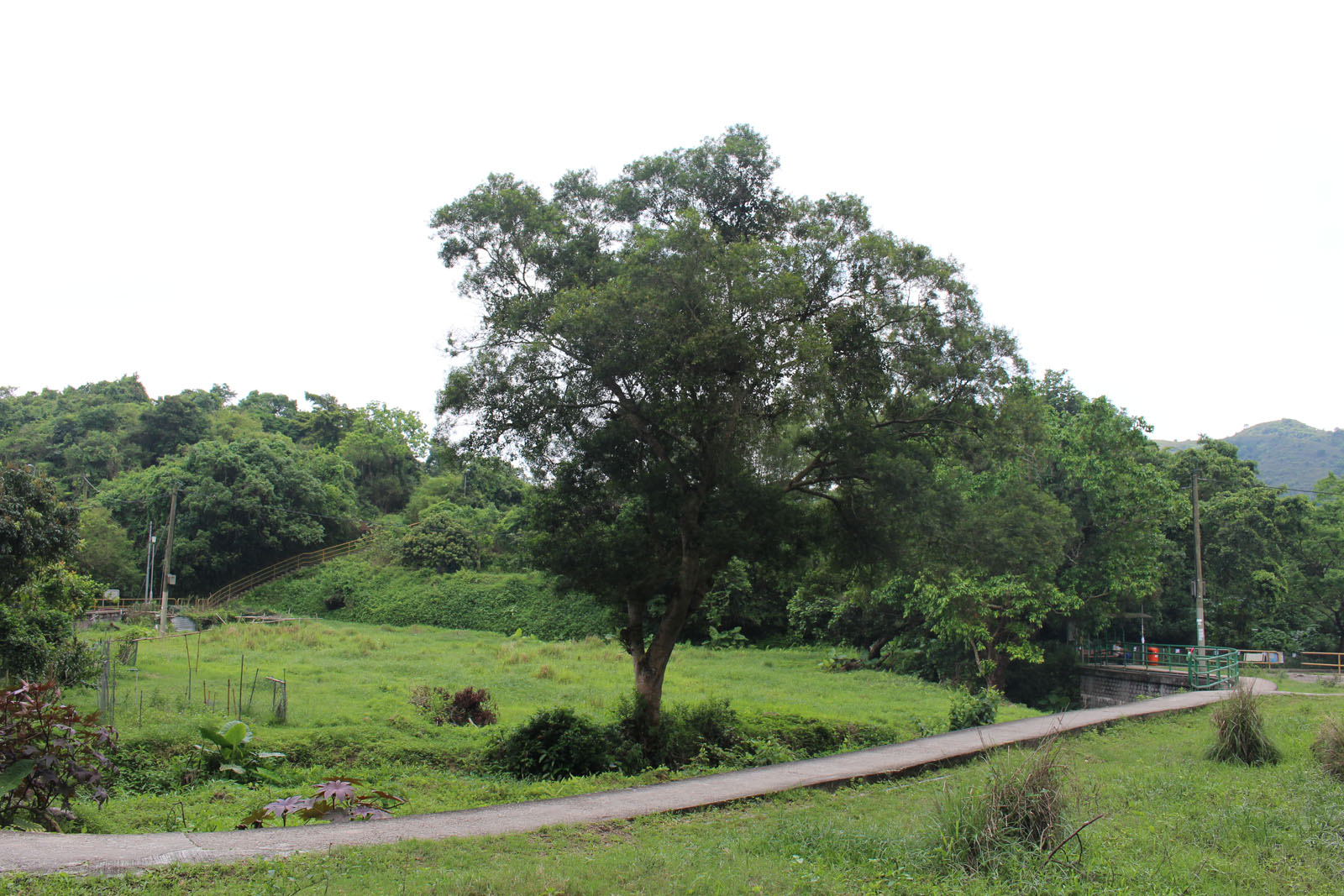 Photo 4: Wu Kau Tang Village