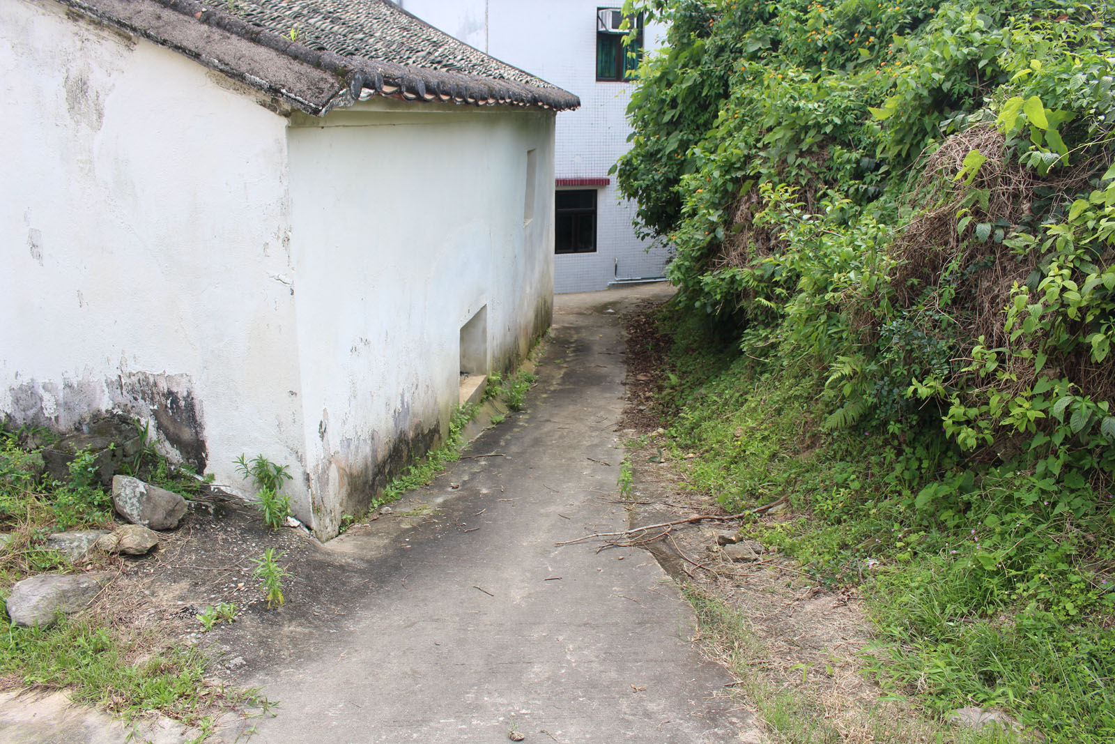 Photo 9: Wu Kau Tang Village