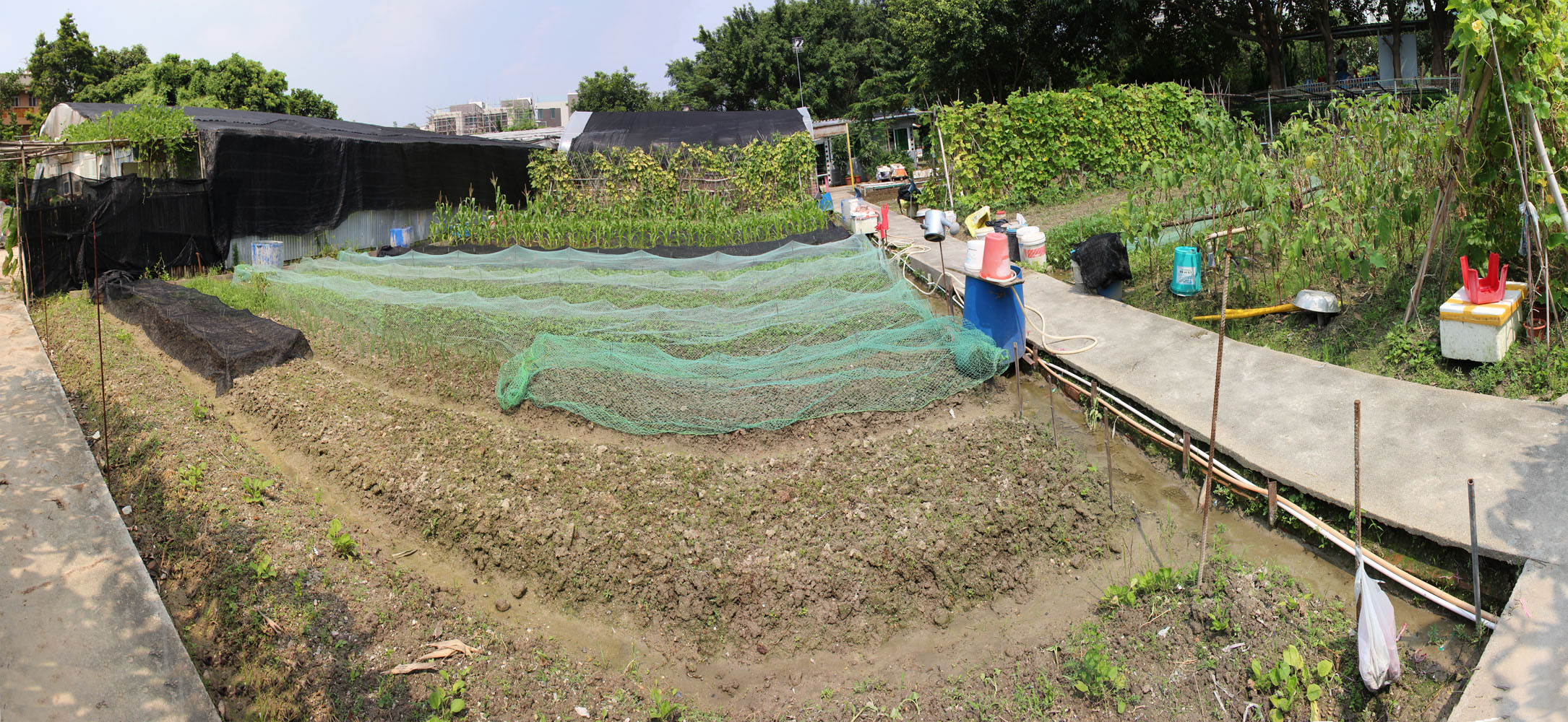 Photo 9: Tin Shui Wai Green Field