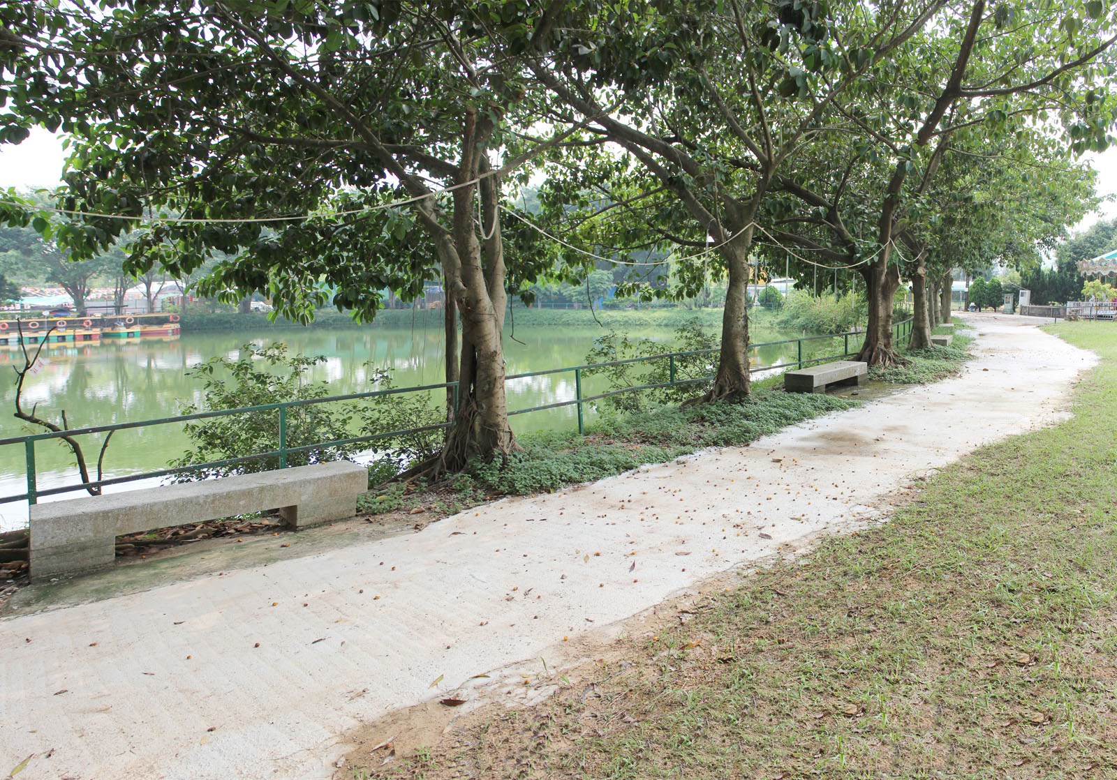 Photo 11: Tin Shui Wai Green Field