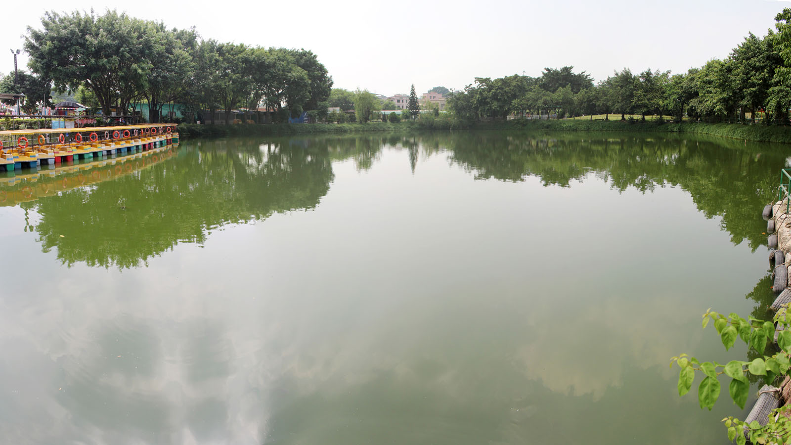 Photo 16: Tin Shui Wai Green Field