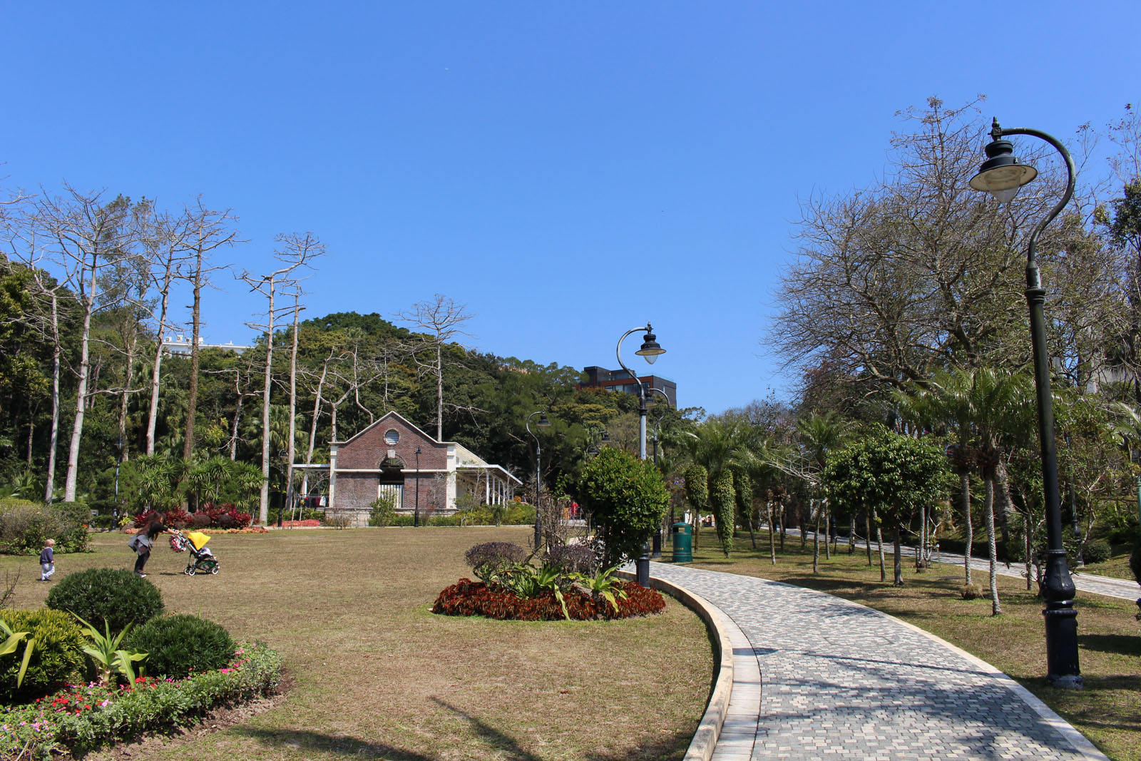 Photo 3: Mount Austin Playground