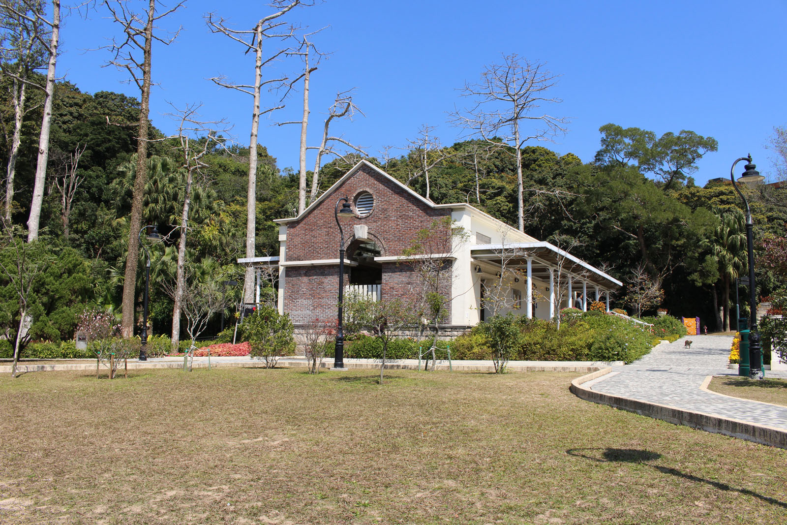 Photo 5: Mount Austin Playground