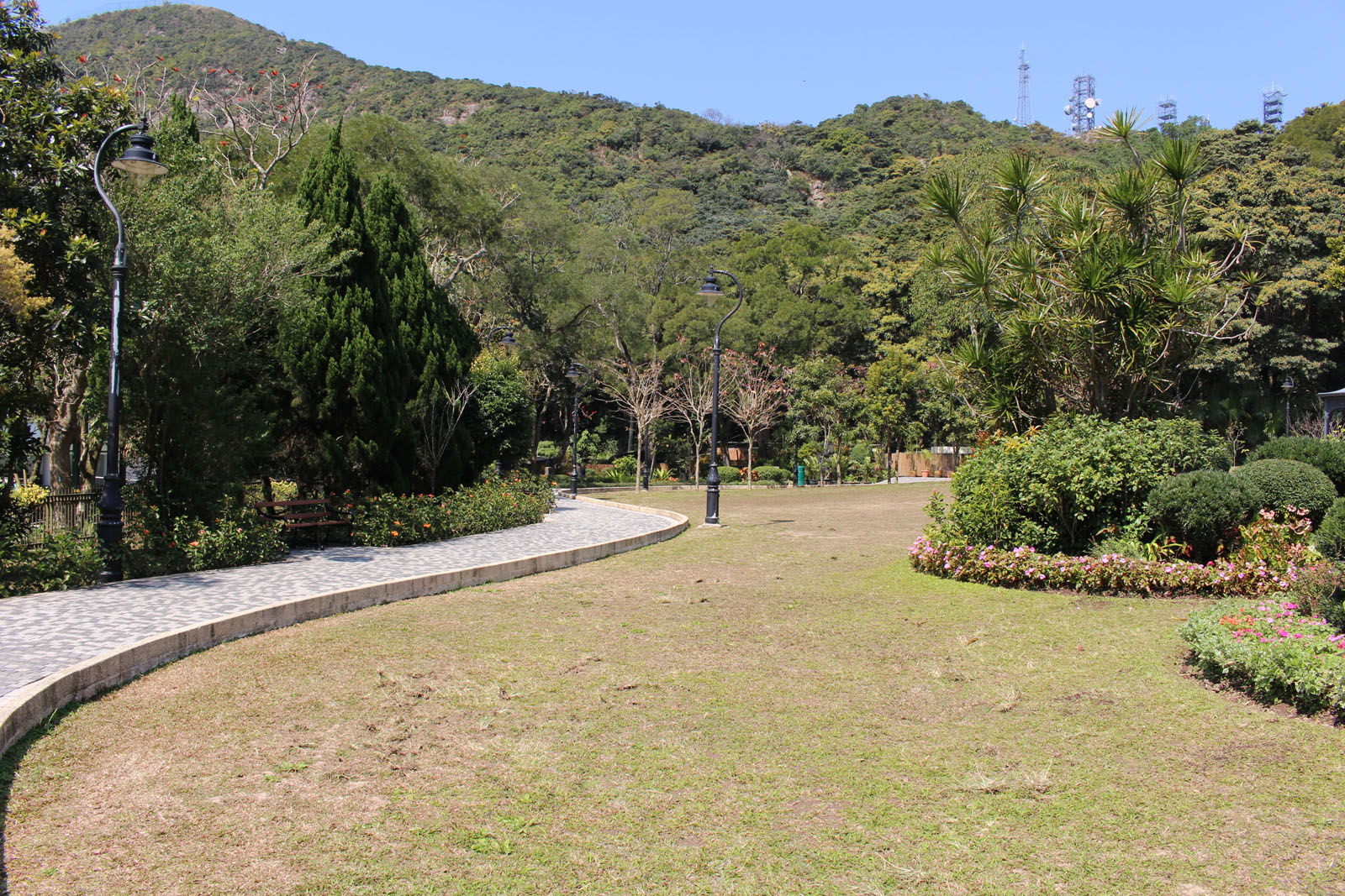 Photo 6: Mount Austin Playground