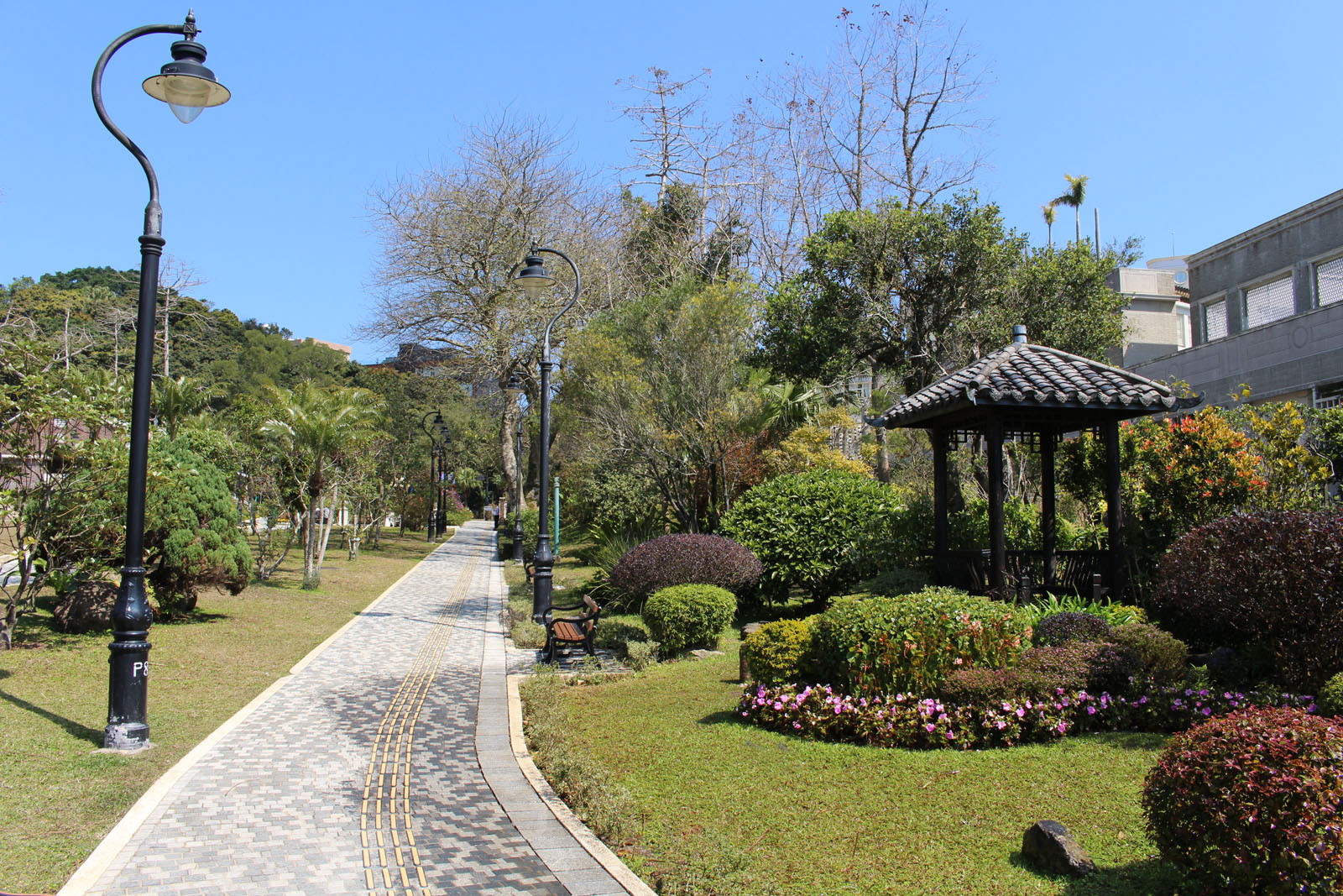 Photo 7: Mount Austin Playground