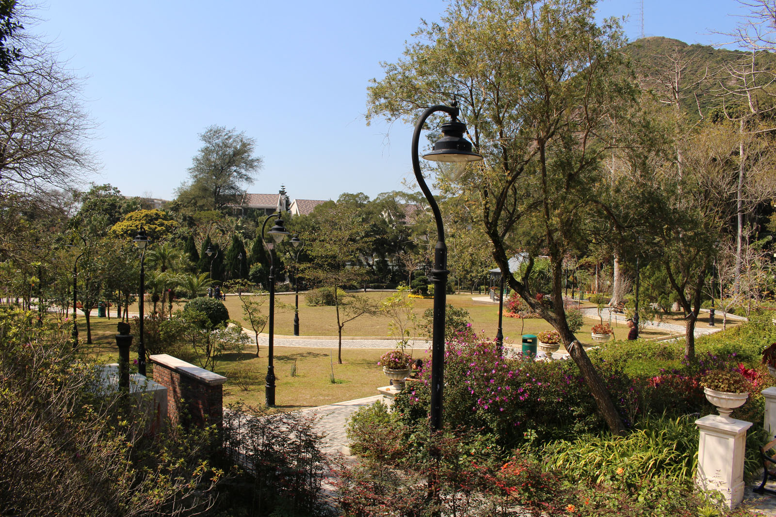 Photo 8: Mount Austin Playground