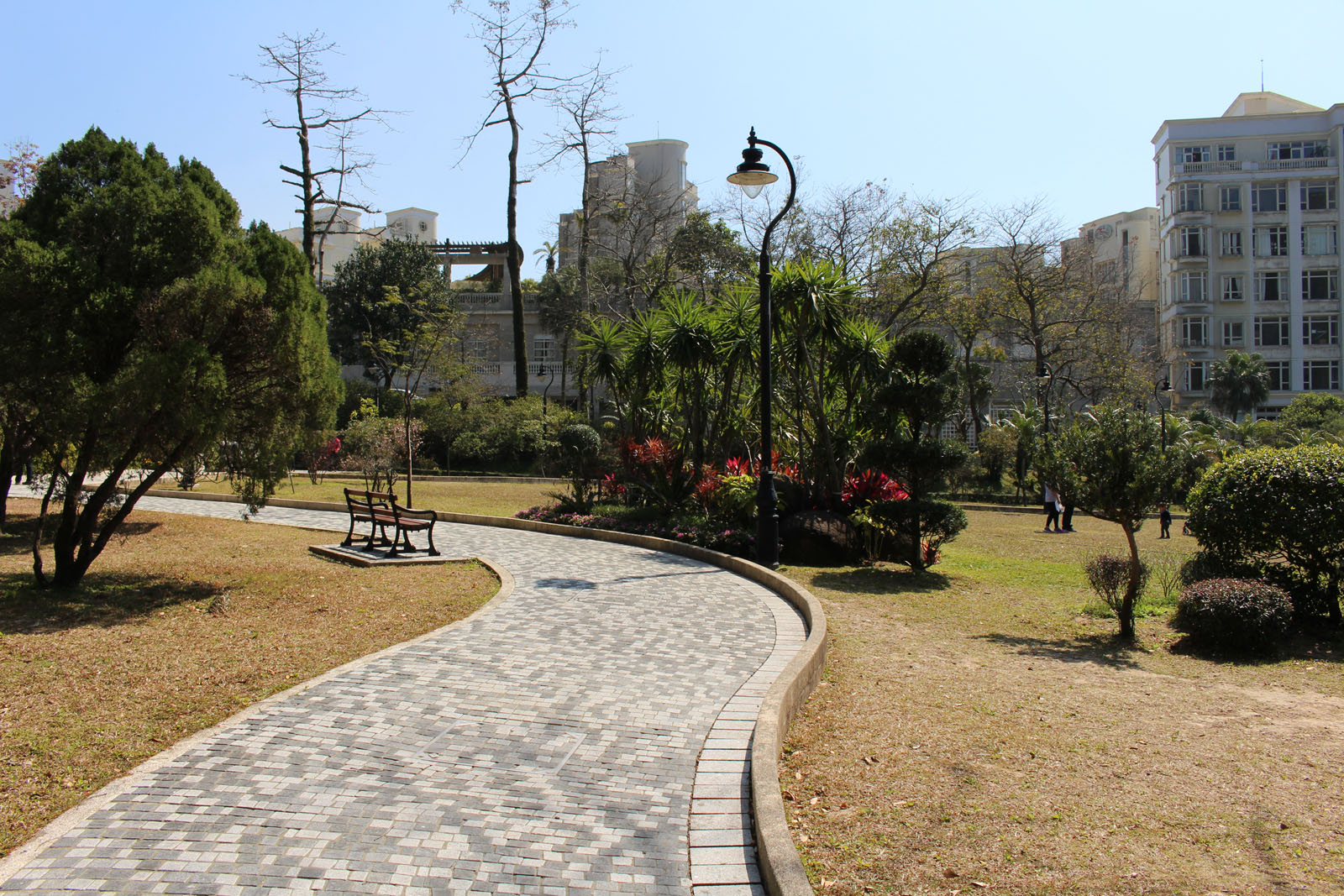 Photo 12: Mount Austin Playground