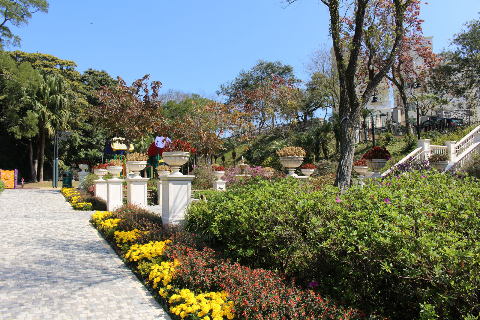 Photo 13: Mount Austin Playground