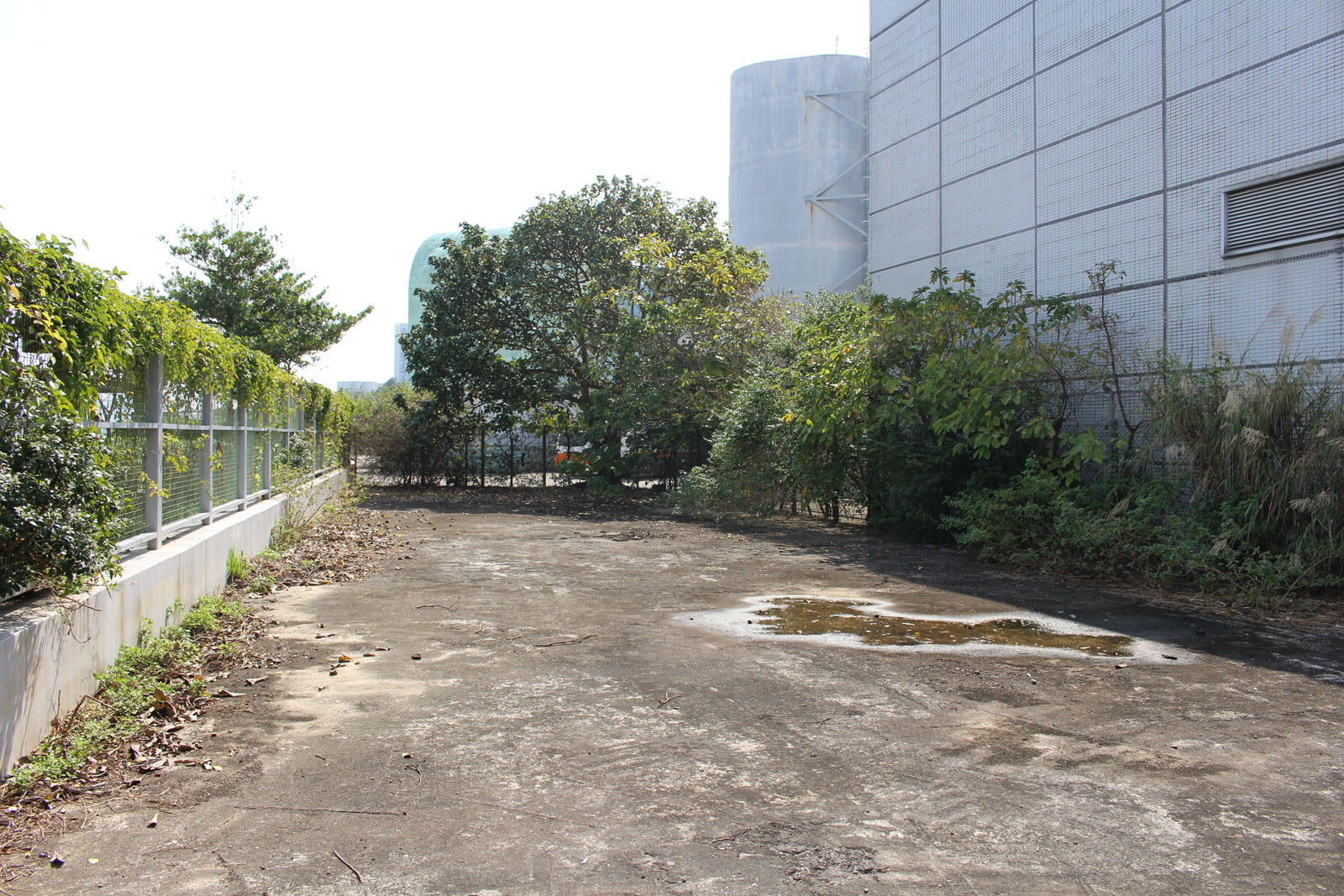 Photo 13: Government Land at Hoi Yu Street