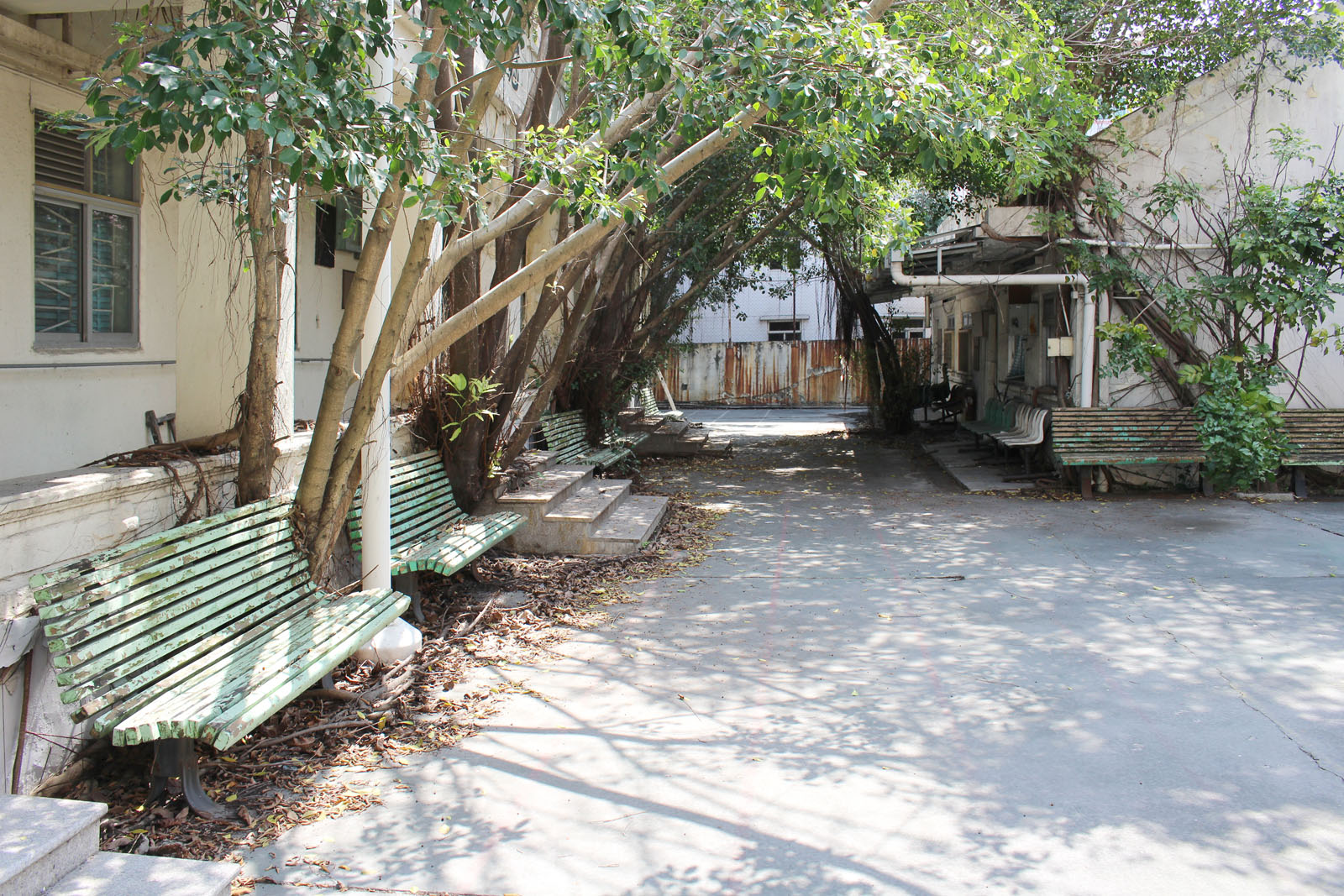 Photo 7: Former Koon Ying School