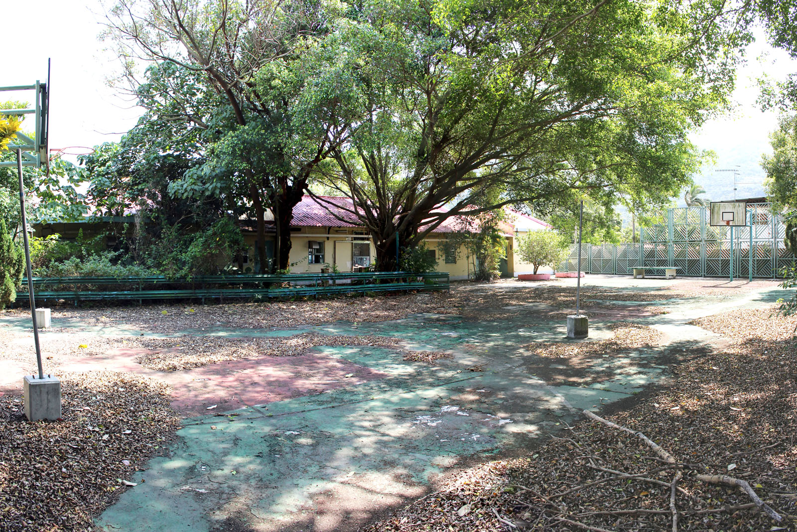 Photo 3: Former Yau Tam Mei Primary School