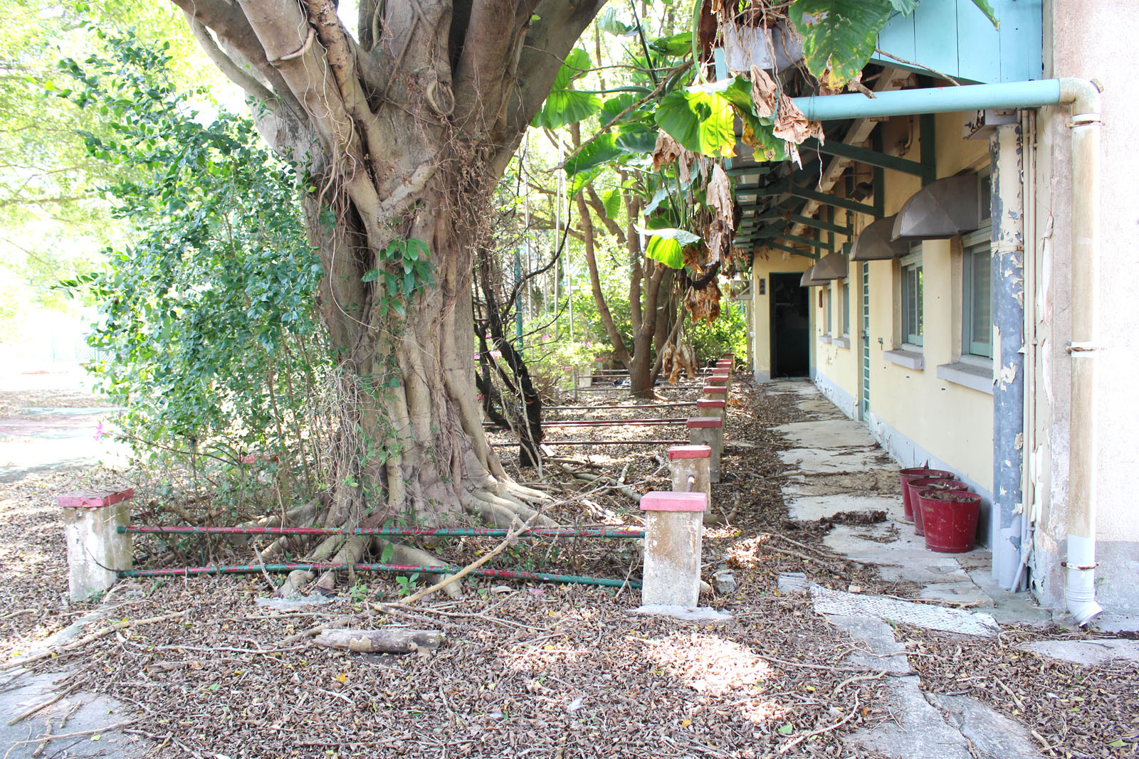 Photo 5: Former Yau Tam Mei Primary School