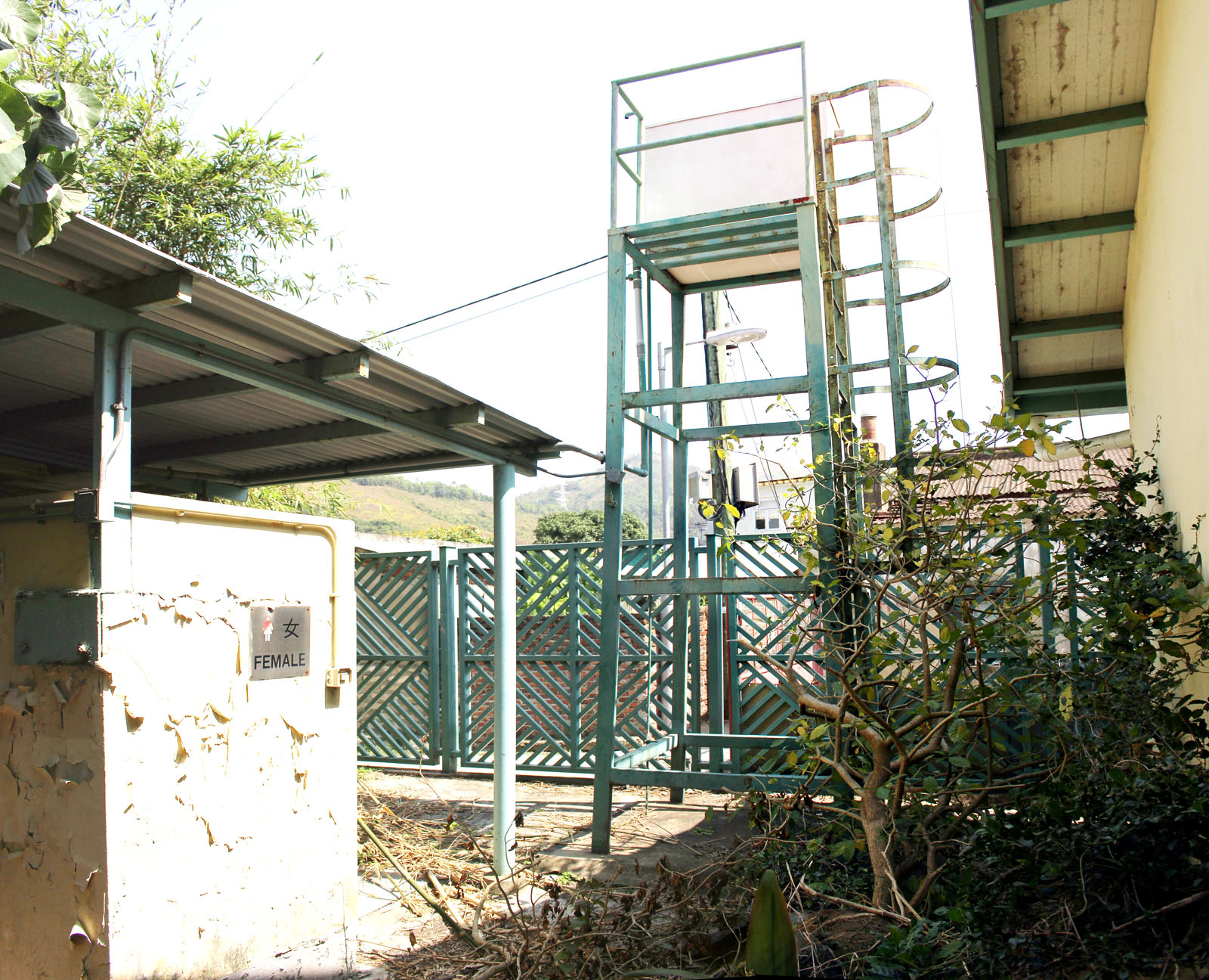 Photo 6: Former Yau Tam Mei Primary School