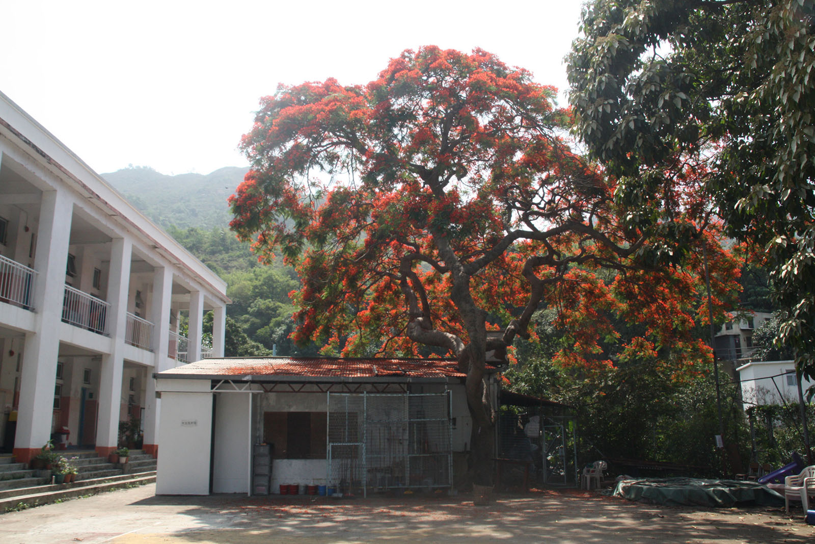 Photo 2: R.T.C. Gaia School