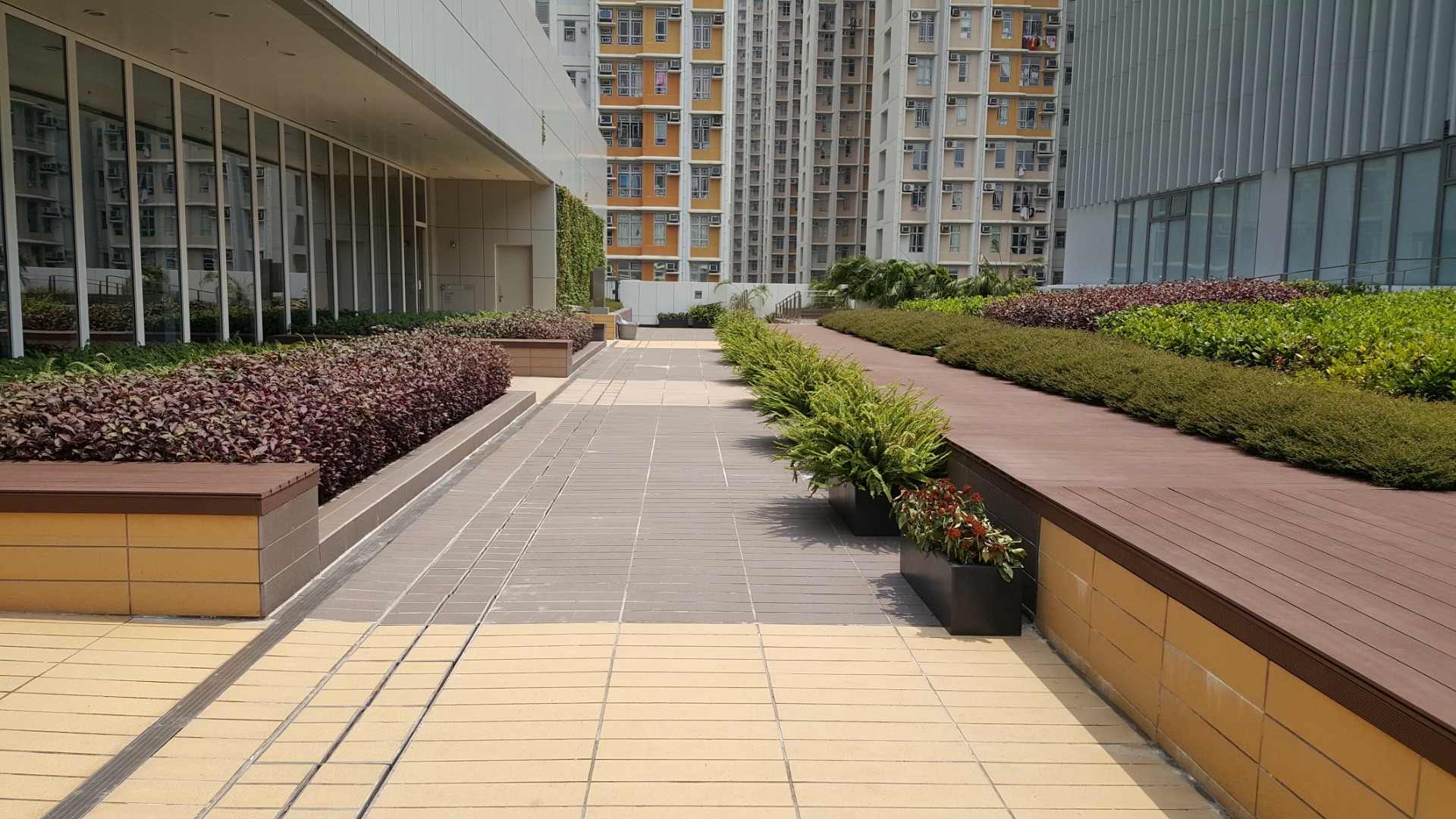 相片 11: 圓洲角體育館