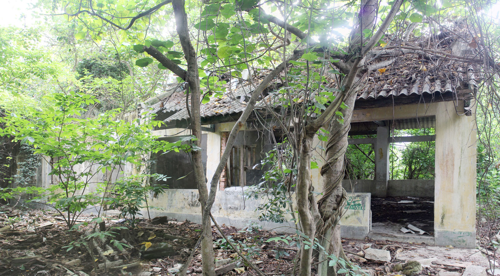 Photo 2: Former Tin Sam Public School