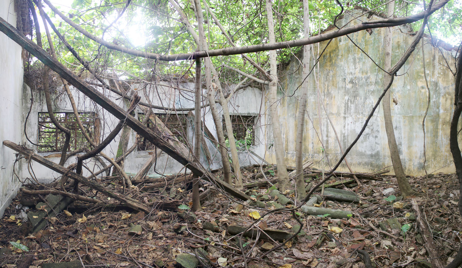 Photo 3: Former Tin Sam Public School